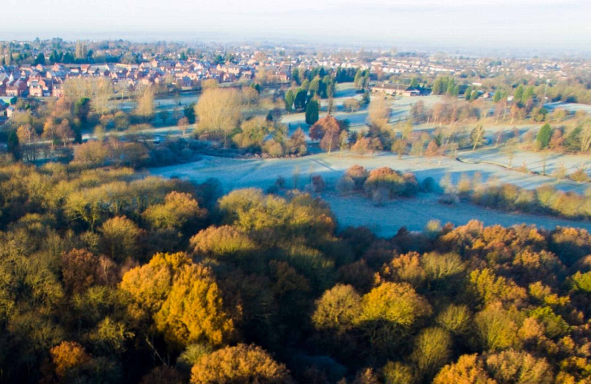 Burbage common