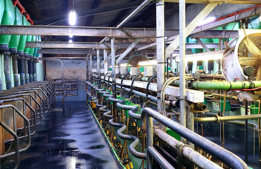 A modern milking parlour