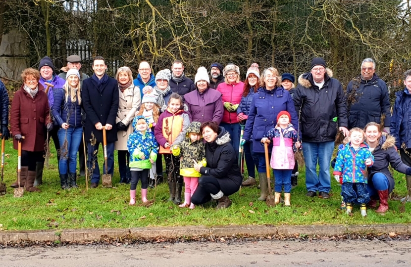 Tree planting