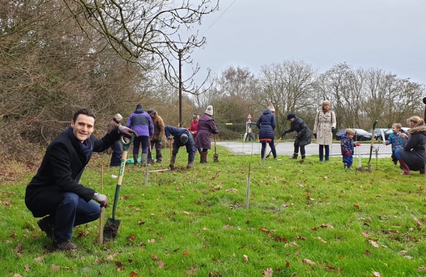 Tree planting